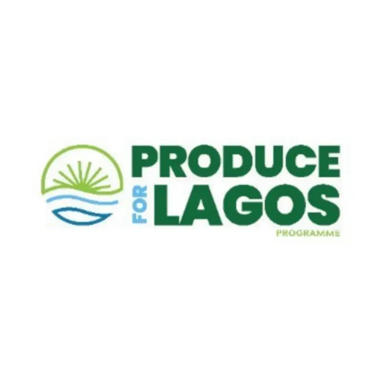 Sanwo-Olu Launches Produce for Lagos Programme, ₦500bn Fund for Food Security