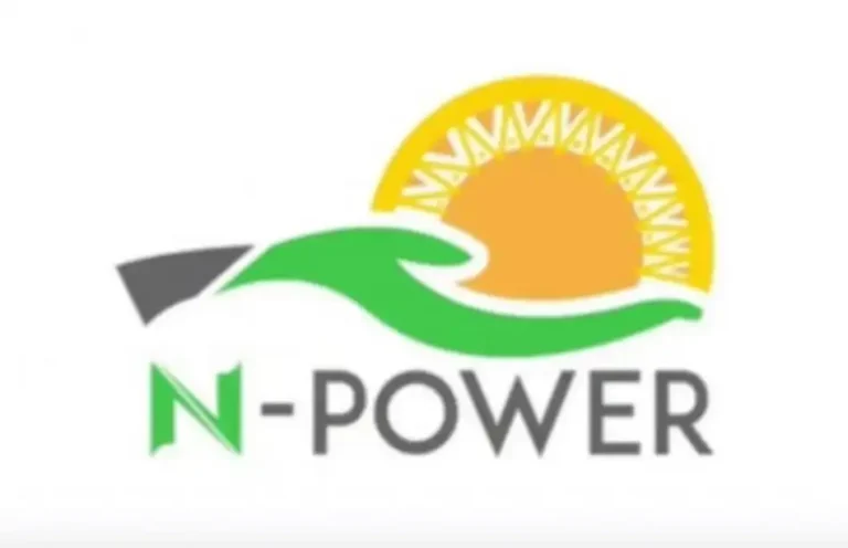 FG to Pay N81bn N-Power Backlog, Senate Confirms