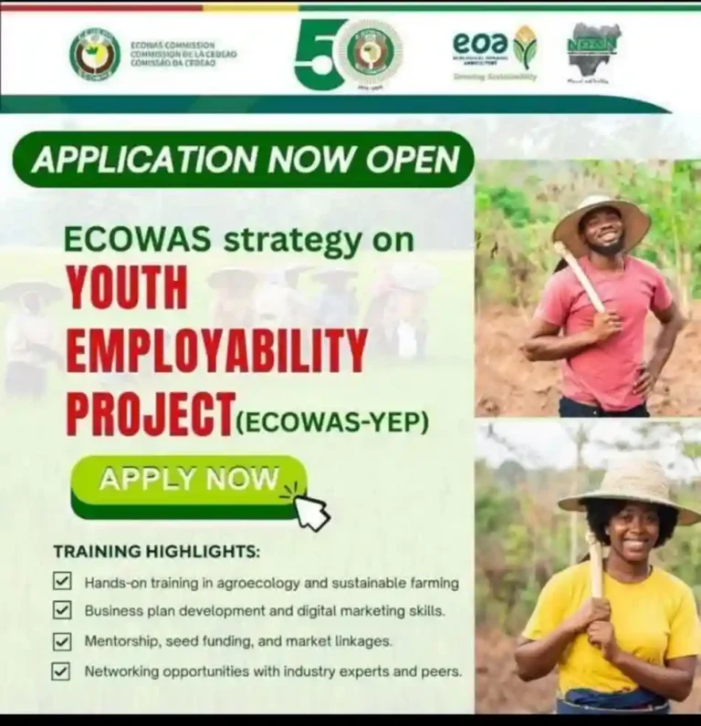 Apply: ECOWAS Youth Employability Project (ECOWAS-YEP)