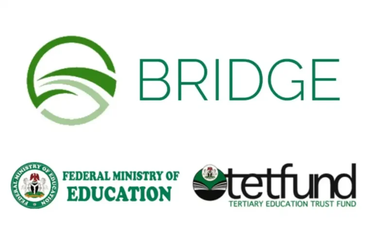Apply: FME Diaspora Bridge Initiative