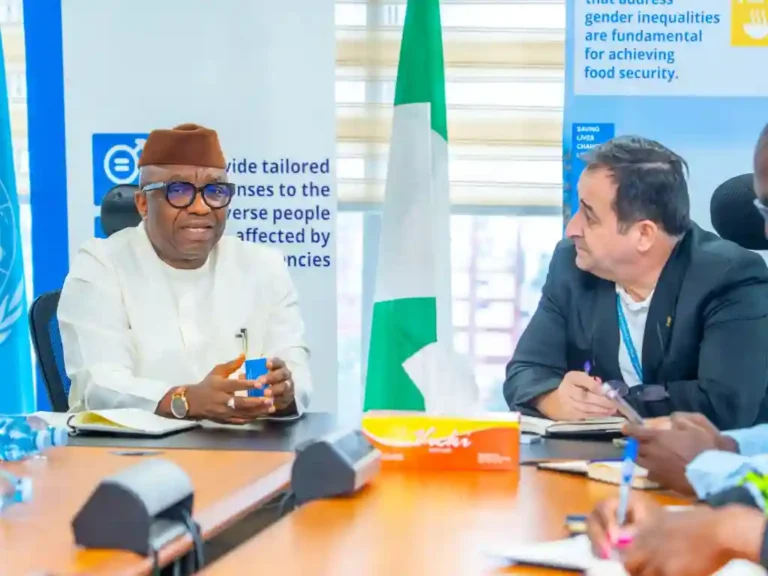 WFP Says It Supports 750,000 Nigerians Daily with Food and Cash