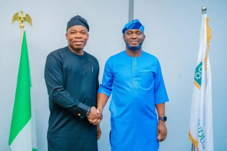 FG to Revive Innoson Tyres with BOI Support for Local Auto Industry