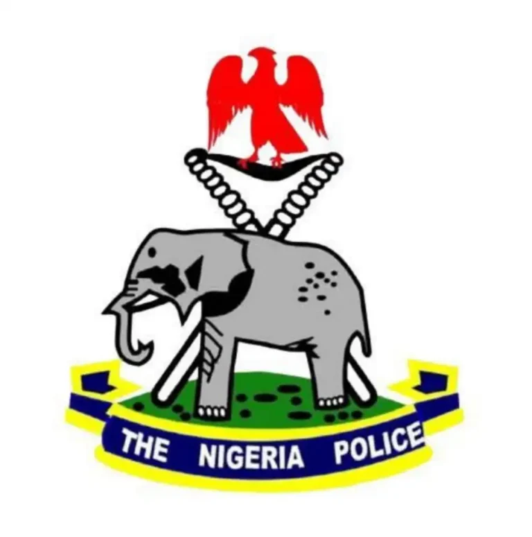 Nigeria Police Warns Officers Against Lobbying for Promotions