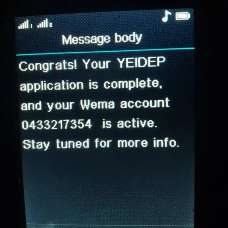Wema Bank Begins Sending YEIDEP Account Number to Applicants