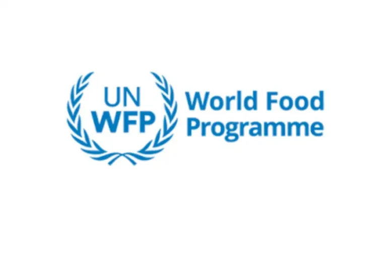 World Food Programme Suspension Puts 300,000 Borno Children at Risk – FG