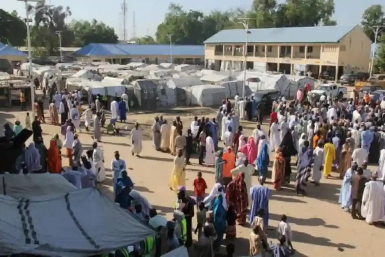 FG to Empower IDPs with Farming and Cash, Remove Them from Camps