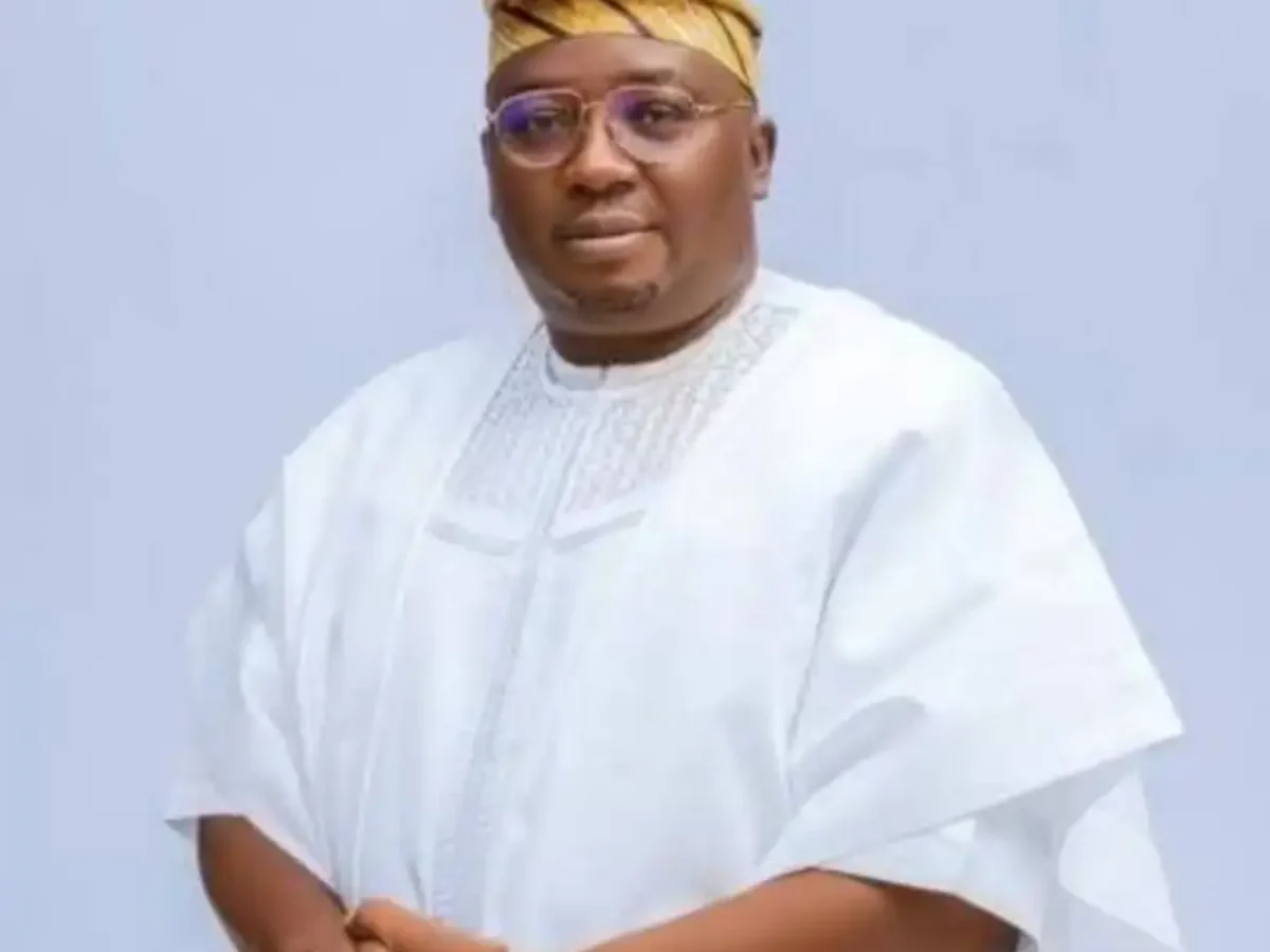 Nigeria to secure $190m renewable energy loan from JICA - Adelabu