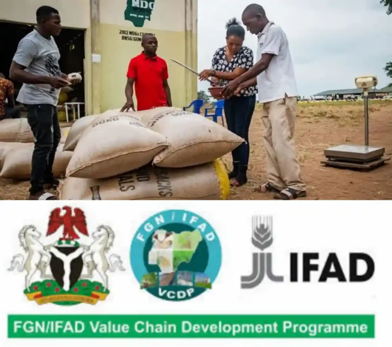 VCDP empowers 18,000 rice and cassava farmers in Ogun State