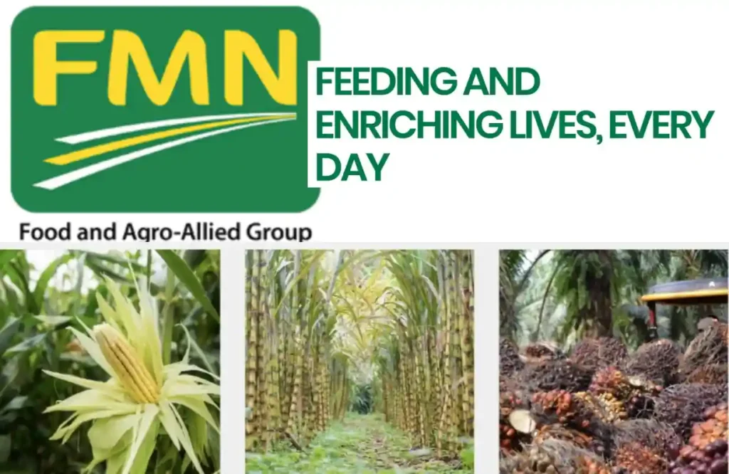 Flour Mills of Nigeria expands farming programmes to 450,000 Farmers