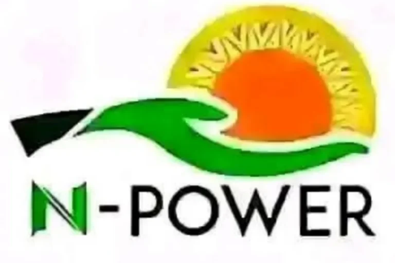 NPower beneficiaries give FG 30-day ultimatum over N81b unpaid stipends