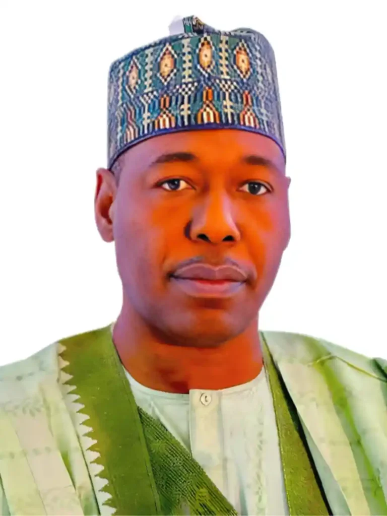 Borno Gov to Empower Youths with Vocational Skills