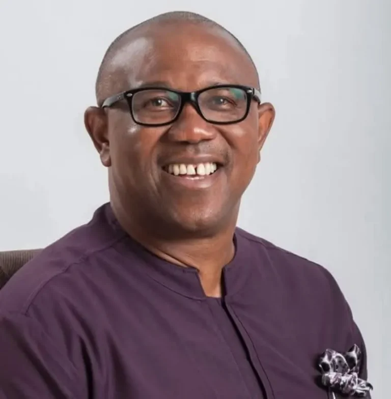 Peter Obi challenges Tinubu’s revenue target claims