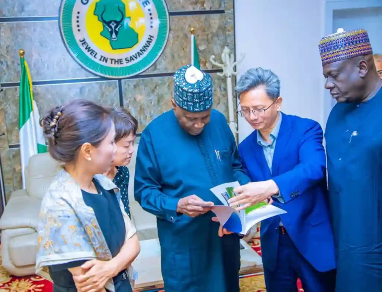 Gombe secures Chinese investment deal for agriculture, others