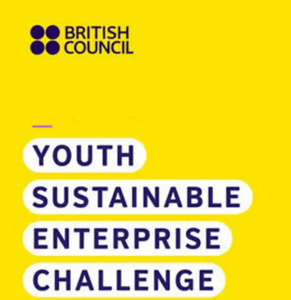 Over 80 Nigerians graduate from YSEC 2025 youth entrepreneurship programme