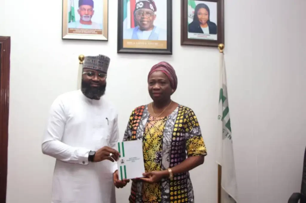 FG to link diaspora skills with home based innovators