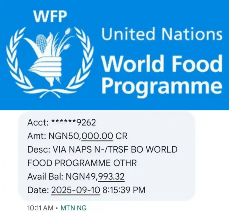 World Food Programme: N50k payment claims circulate for 2.1M beneficiaries