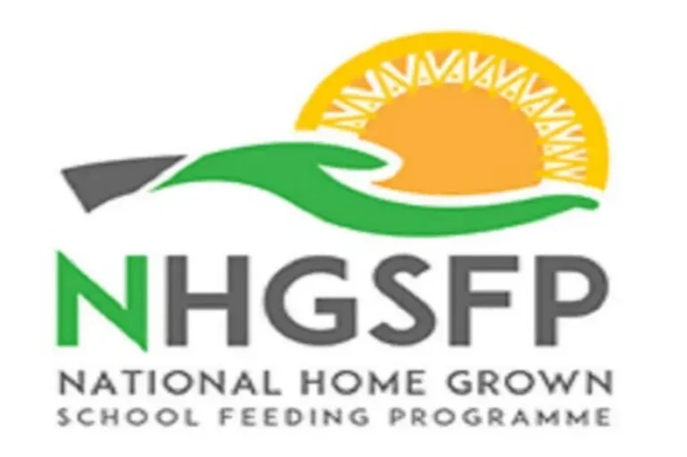FG to monitor school feeding programme with ICT