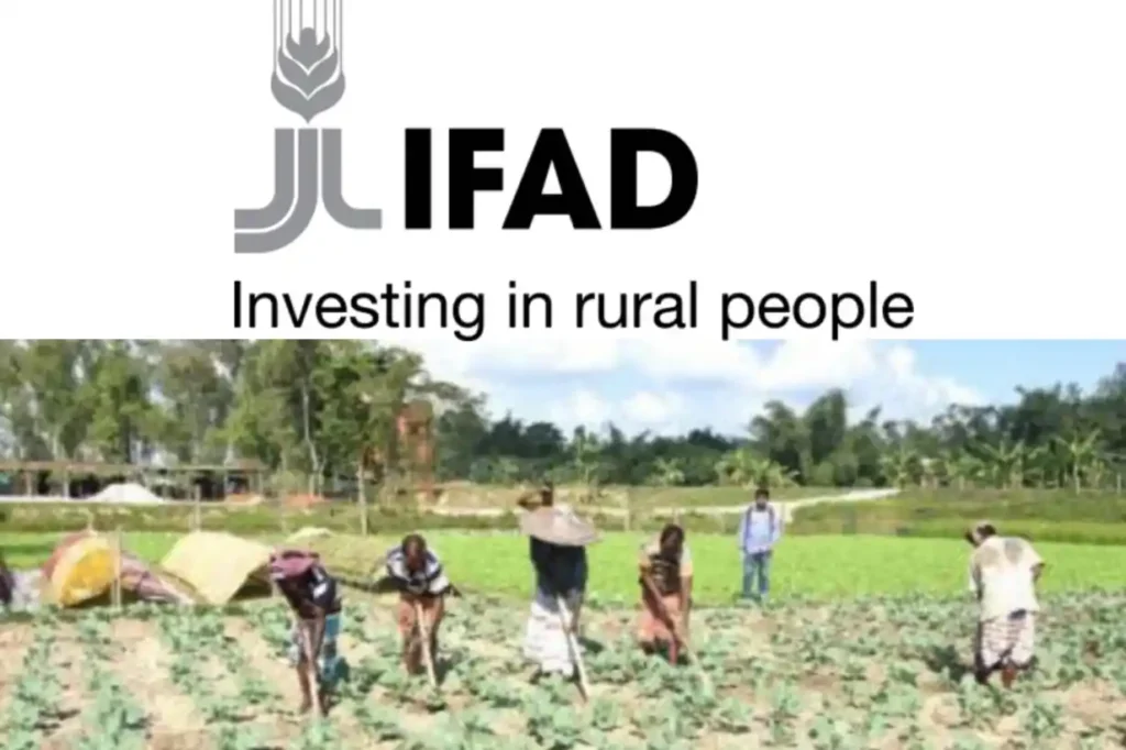 IFAD begins 2025 cassava farm input distribution in Taraba