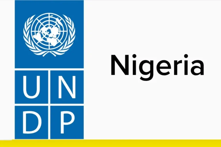 UNDP Nigeria, Mastercard select youth innovators for YAI stage gating Phase