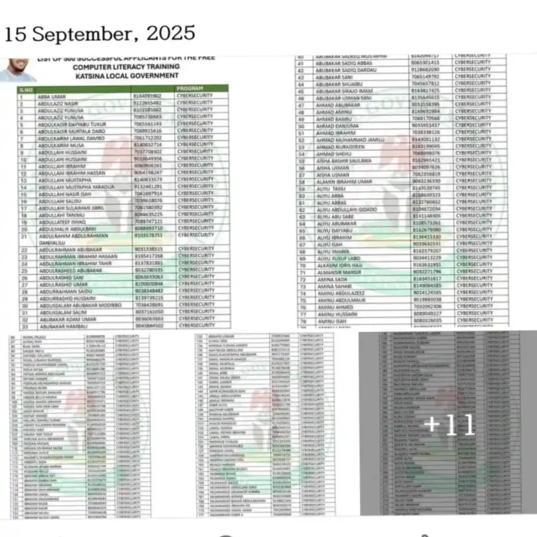 Katsina LG council releases final list for cybersecurity and python training