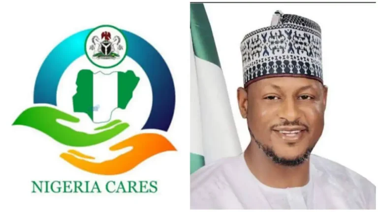Katsina allocates N100bn for NG-CARES programmes, MSME support
