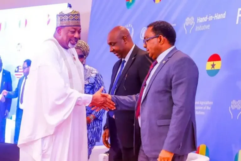 FG unveils $2.2bn projects under FAO initiative, targets 500k+ farmers