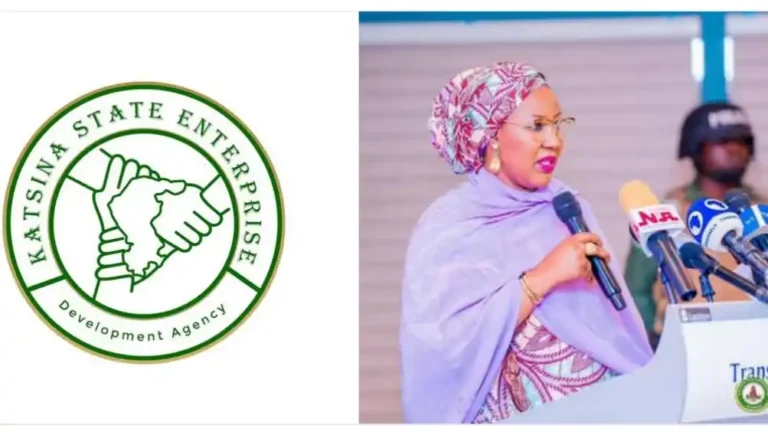 Katsina State supports 23,912 beneficiaries, projects 200,000 jobs