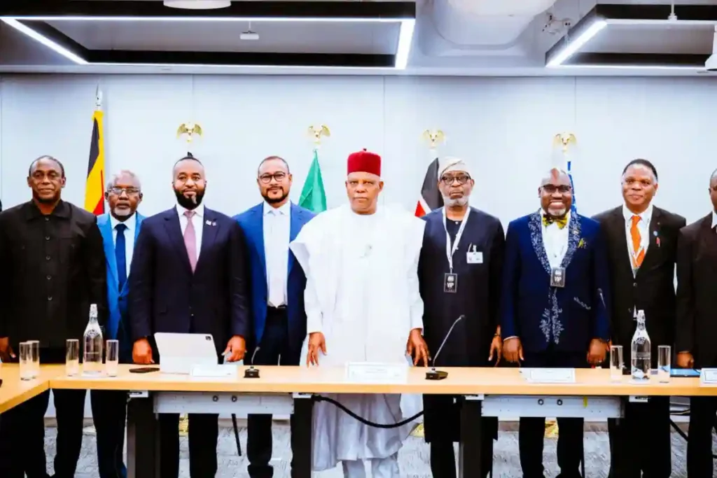 Tinubu demands Africa stop exporting raw minerals