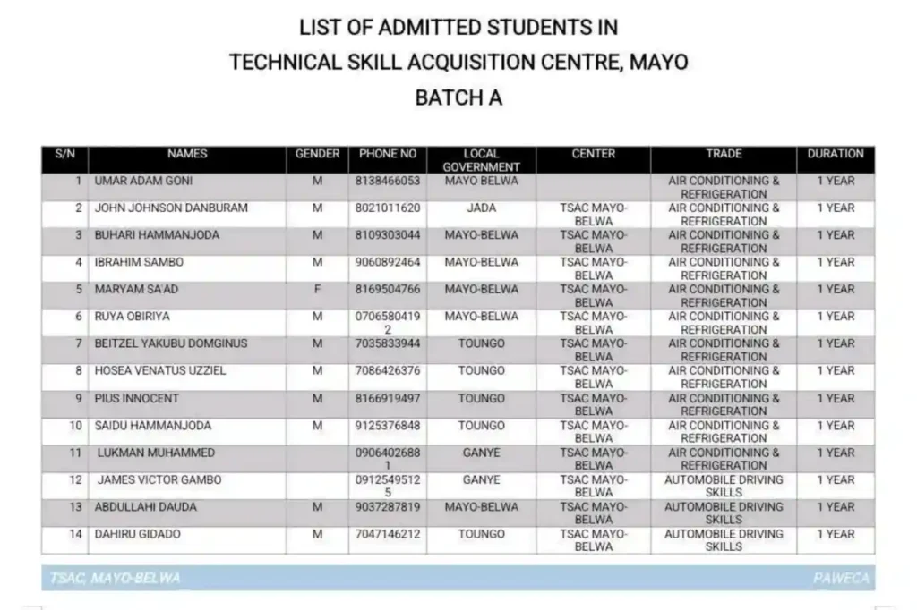 Adamawa PAWECA releases batch A and B admission list for technical skill acquisition