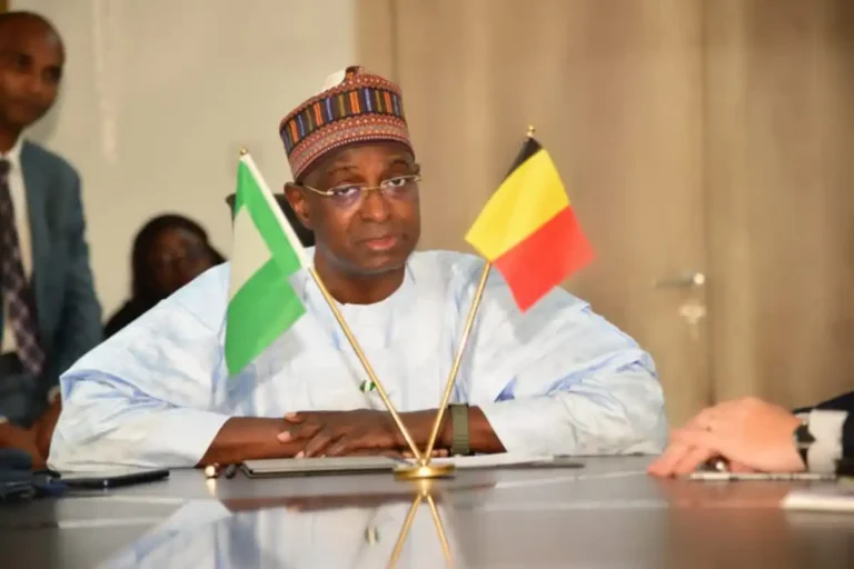 FG launches ABIS Livestock Academy, 36,000 jobs, $33tr market in focus