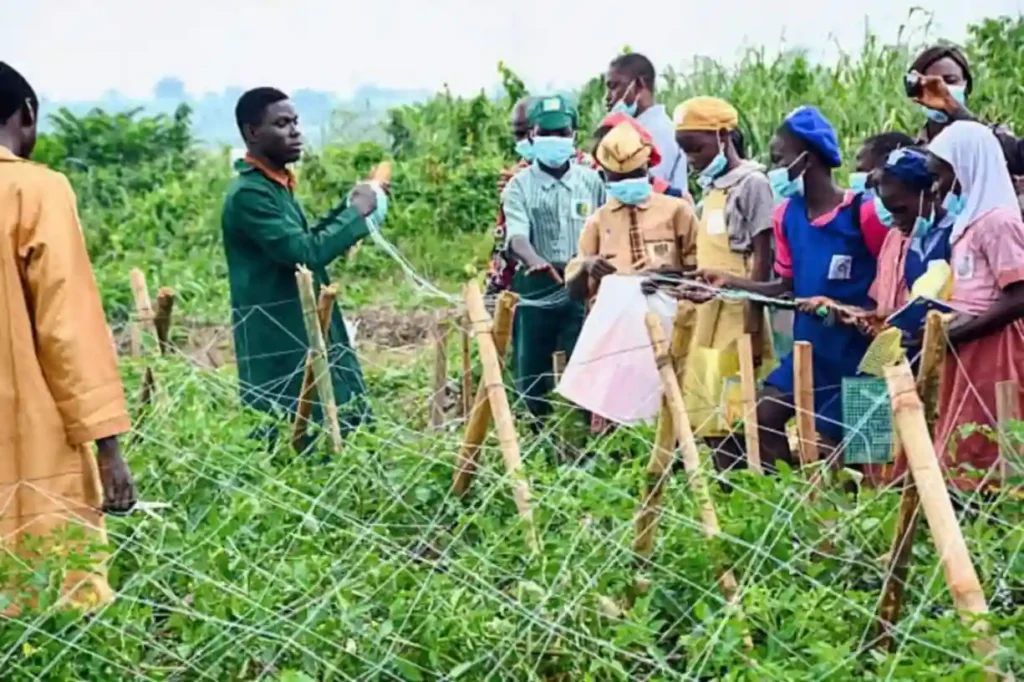 Lagos, UBEC launch agricultural training tour for public primary schools