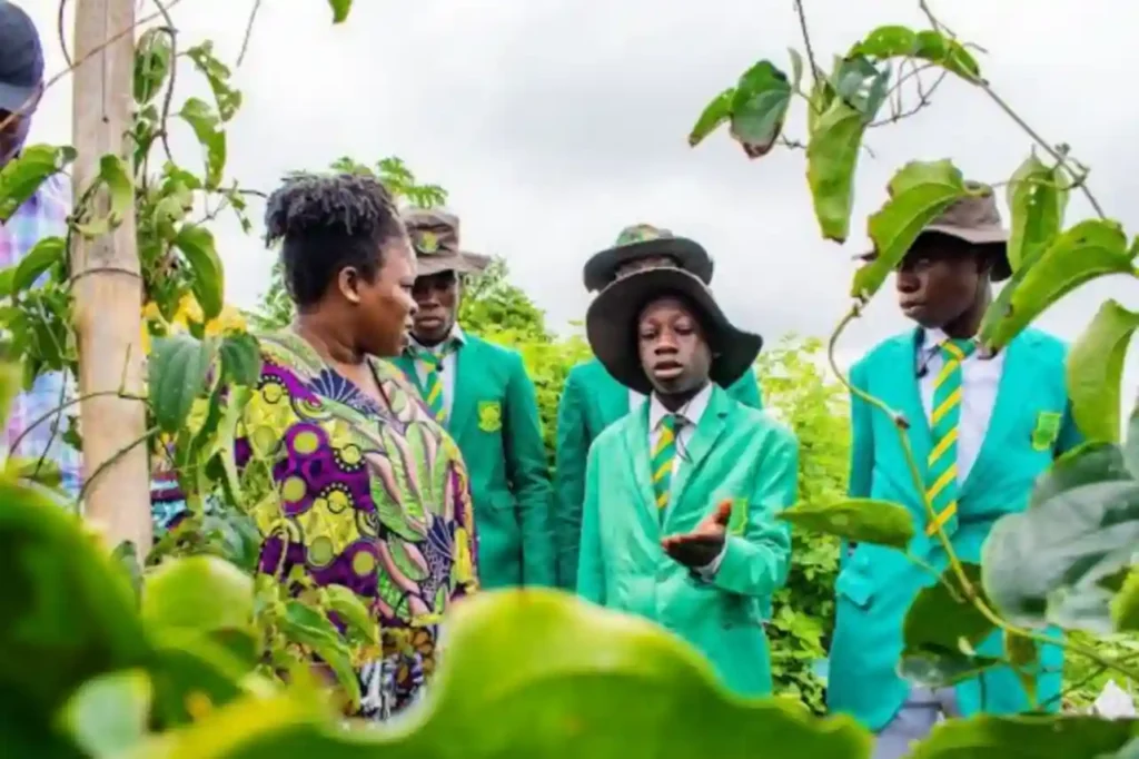 Lagos State commissions agricultural scholars programme