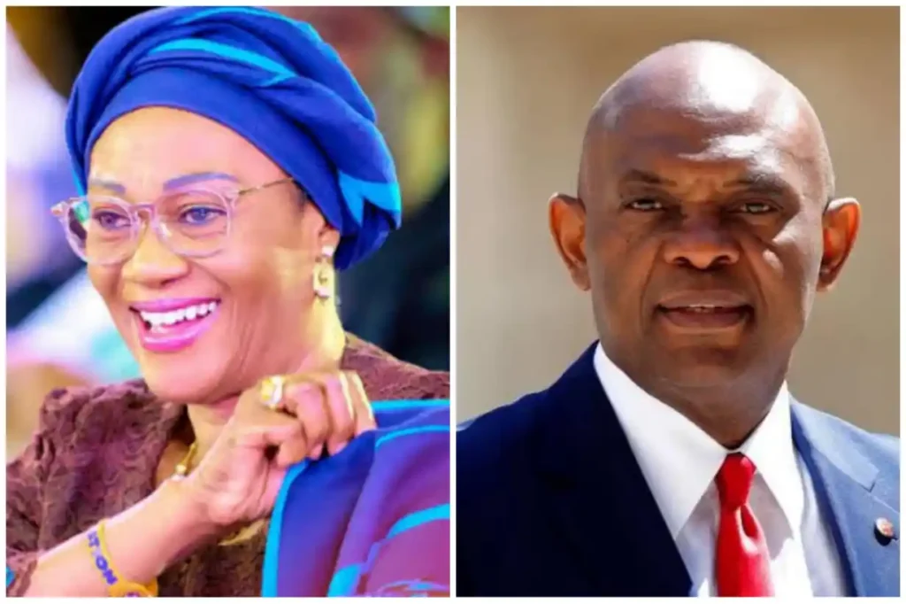 Tony Elumelu Foundation donates N1bn to wmpower 18,500 women