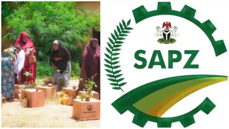 IFAD-SAP distributes gardening toolkits to 1,445 households in Kano