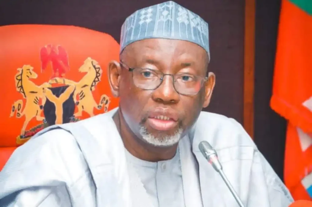 Gov Namadi seeks stronger rice production partnership for Jigawa in Egypt