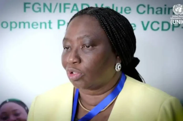 IFAD reports $40m earnings for Nigerian smallholder farmers