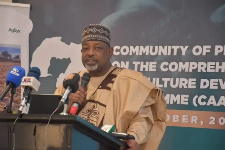 Nigeria moves to implement $538m CAADP Kampala declaration