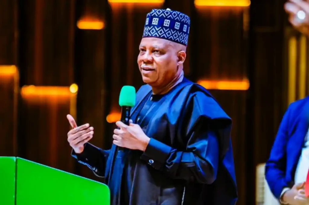 VP Shettima says Nigeria now stable, urges investors to choose country