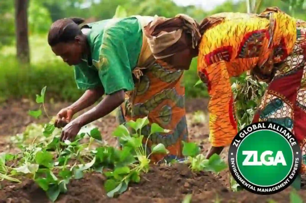 Firm to train 2 million rural women in climate-smart farming