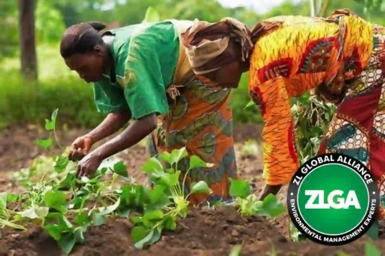 Firm to train 2 million rural women in climate-smart farming