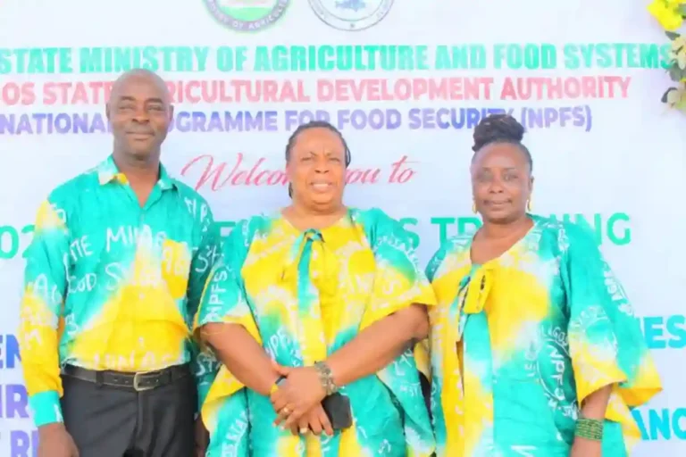 Lagos Govt encourages farmers to get agricultural insurance