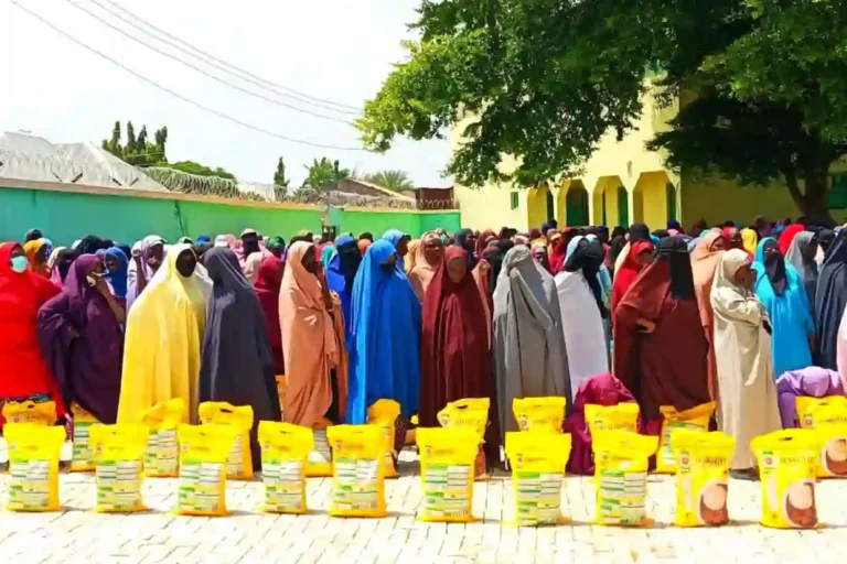 Bauchi senator distributes 21,000 bags of semovita