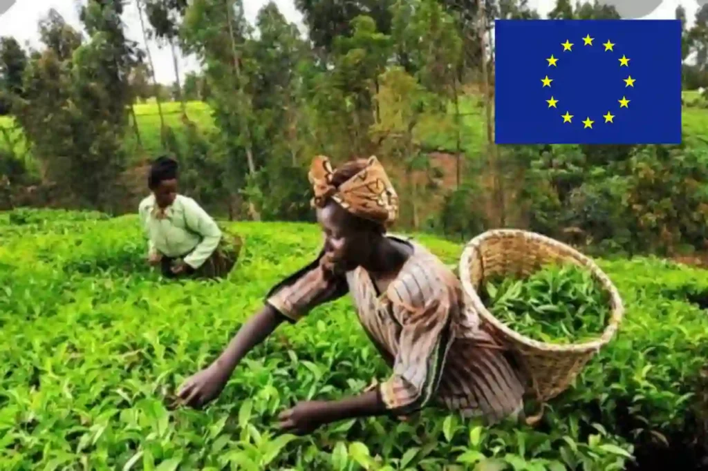 EU grants €190m loan to support Nigeria’s agriculture