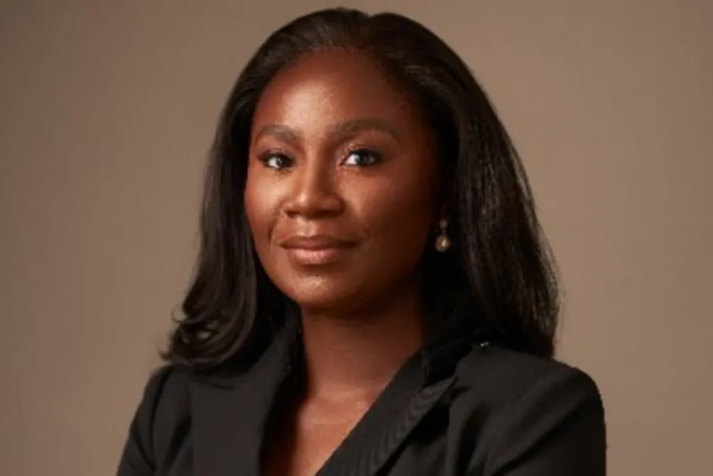 FG To issue ₦4tn bonds to pay power companies’ debts