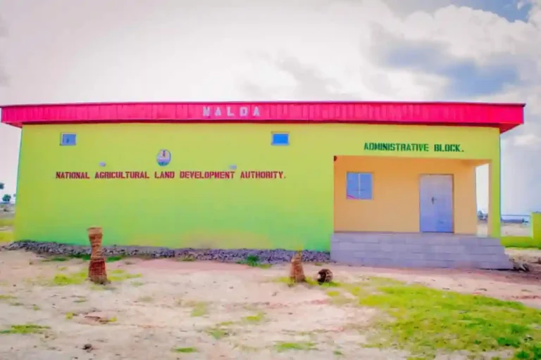 NALDA unveils greenhouse farming for vegetable production, youth empowerment