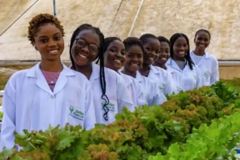 FG urges schools to begin young farmers’ club for food security