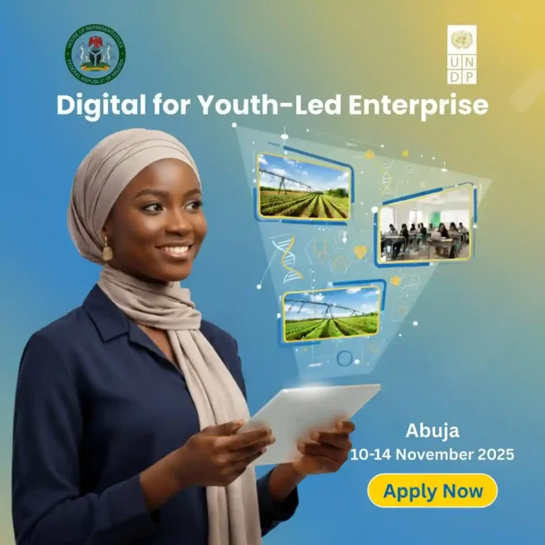 UNDP opens application for digital youth enterprise sprint