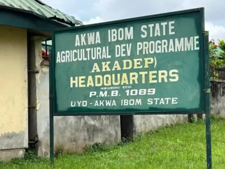 Akwa Ibom Govt set to flag off tree crop revolution