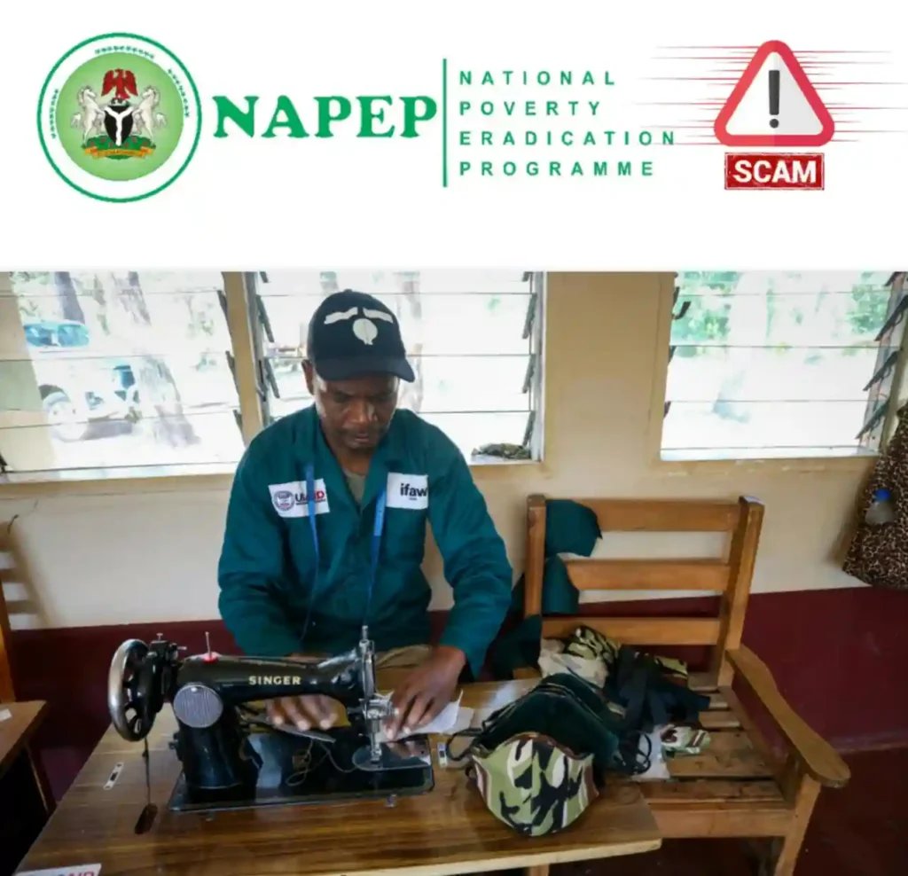 NAPEP: how a fake website revived dead FG programme to scam Nigerians