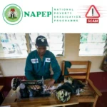 NAPEP: how a fake website revived dead FG programme to scam Nigerians